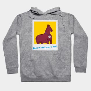 Your Homie Horse Hoodie